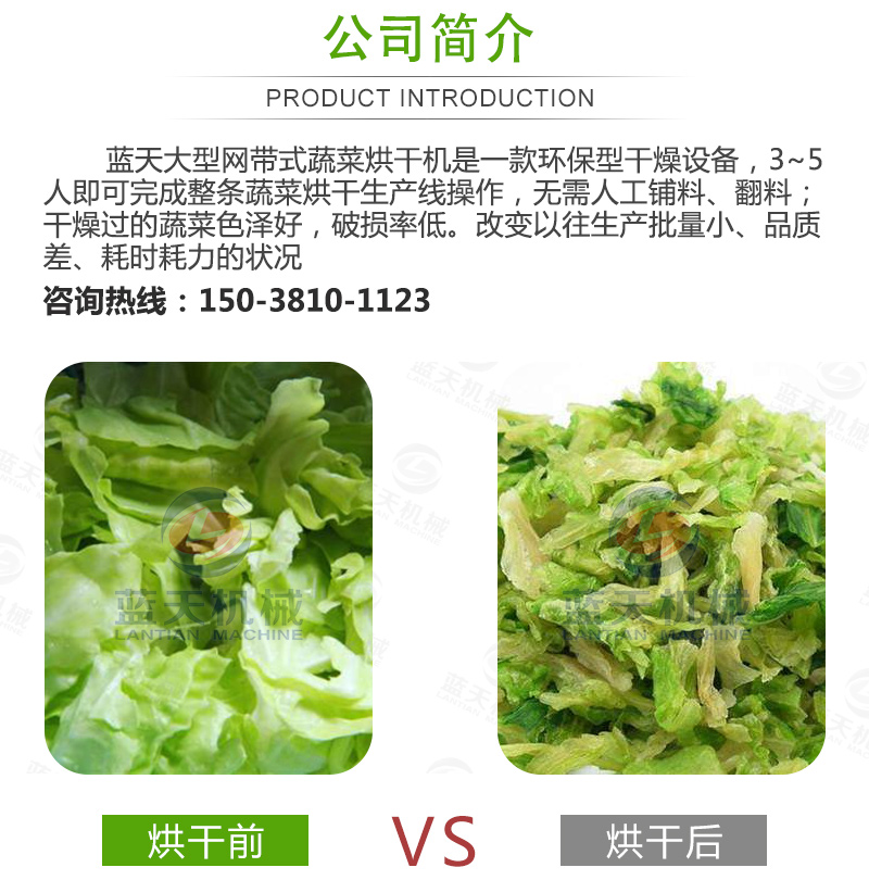 蔬菜網(wǎng)帶烘干機(jī)產(chǎn)品介紹