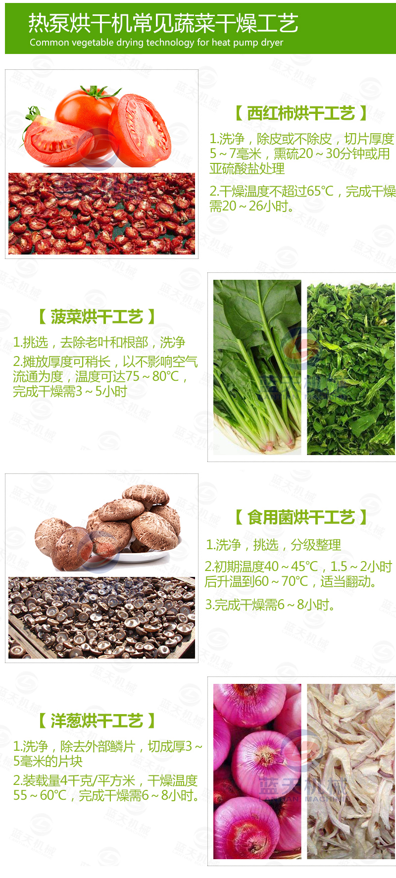 黃花菜網(wǎng)帶烘干機(jī)常見烘干工藝