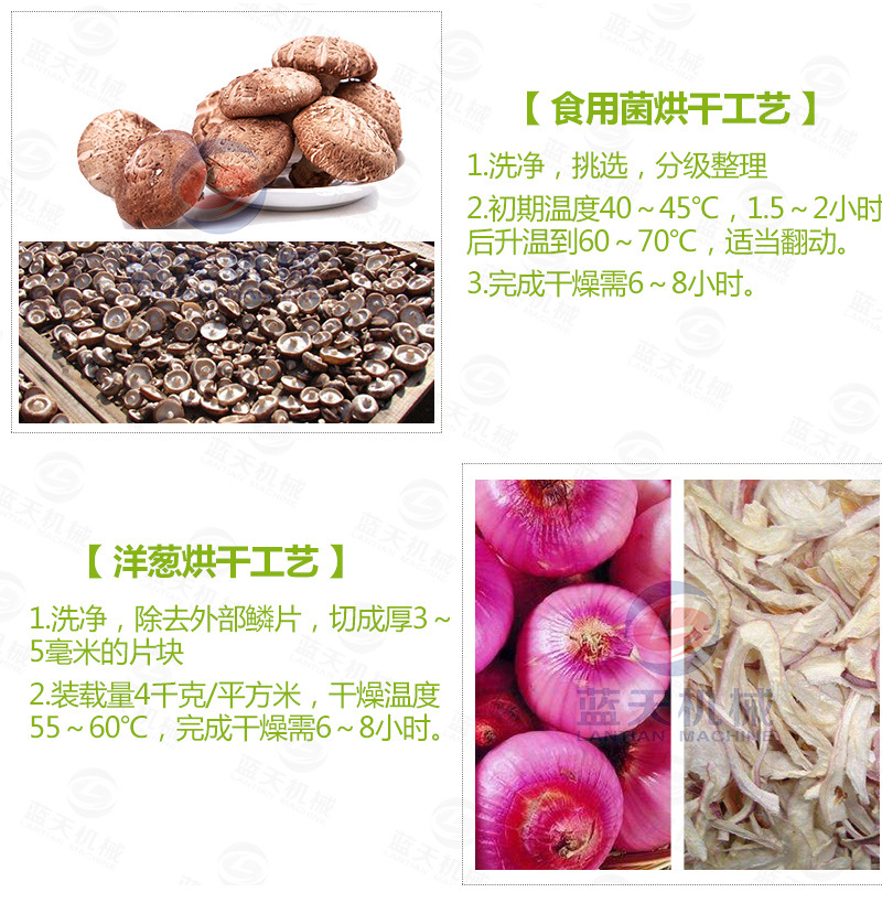 豆角網(wǎng)帶烘干機(jī)常見(jiàn)烘干工藝