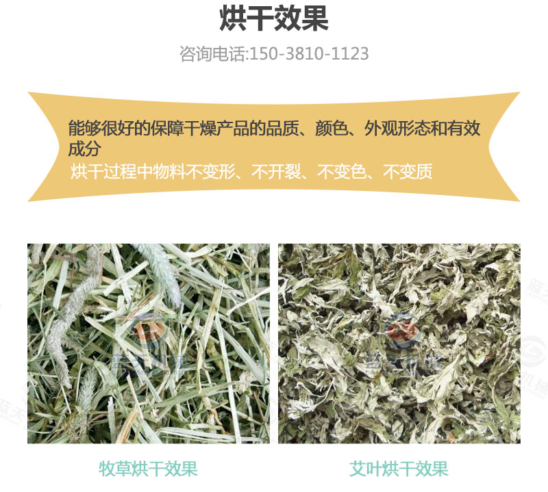 牧草網(wǎng)帶式烘干機(jī)烘干效果