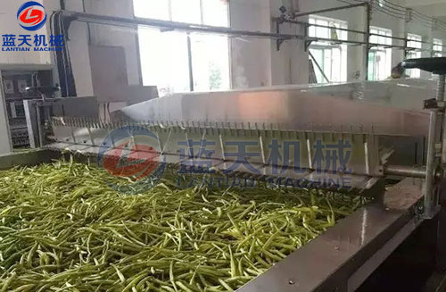 山西黃花菜網(wǎng)帶烘干機客戶現(xiàn)場